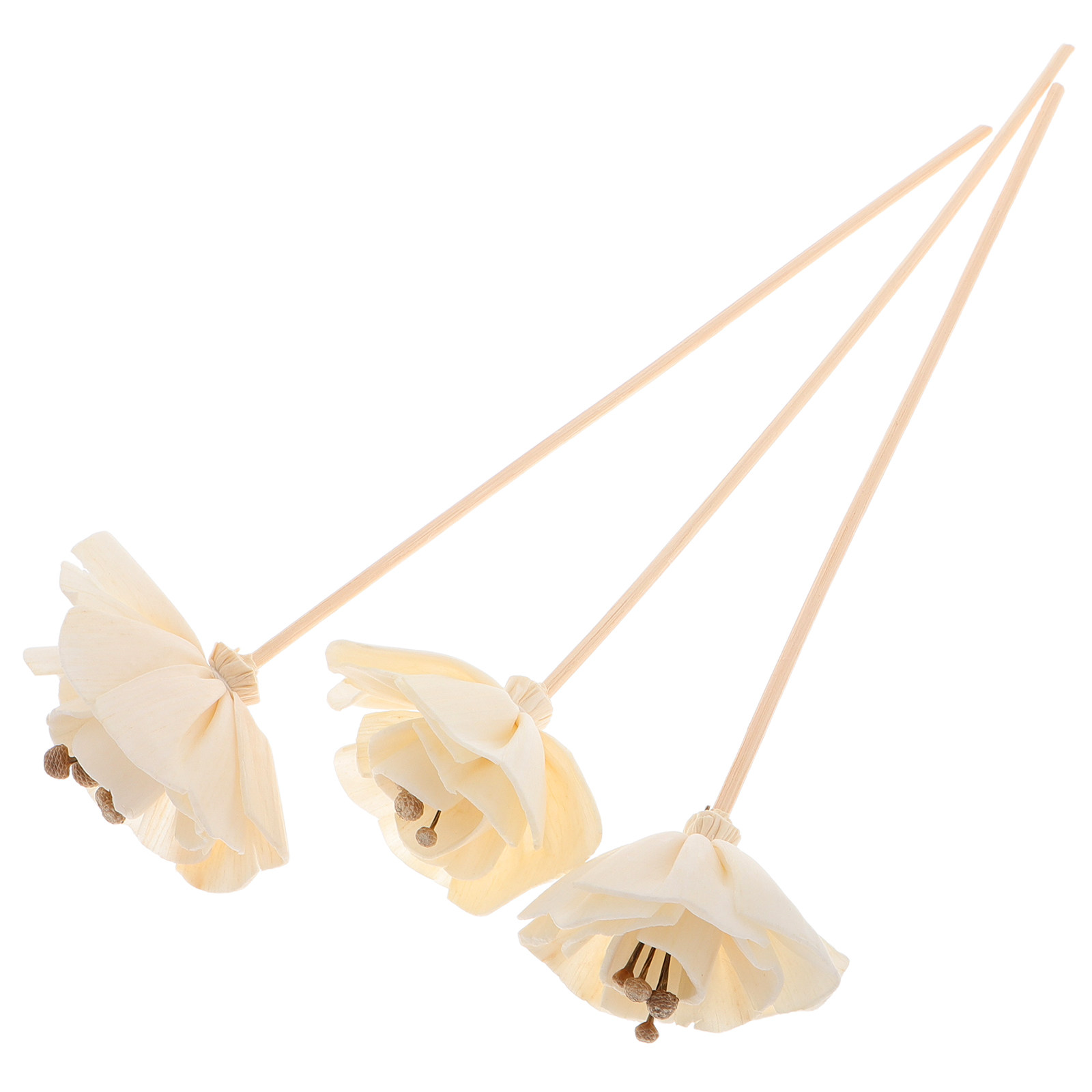 Home Fragrance Natural - 3Pcs Dried Floral Fragrance Diffuser Sticks