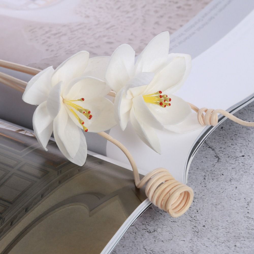 Home Fragrance Natural - Multipurpose 5cm Natural Handmade Fragrance Living