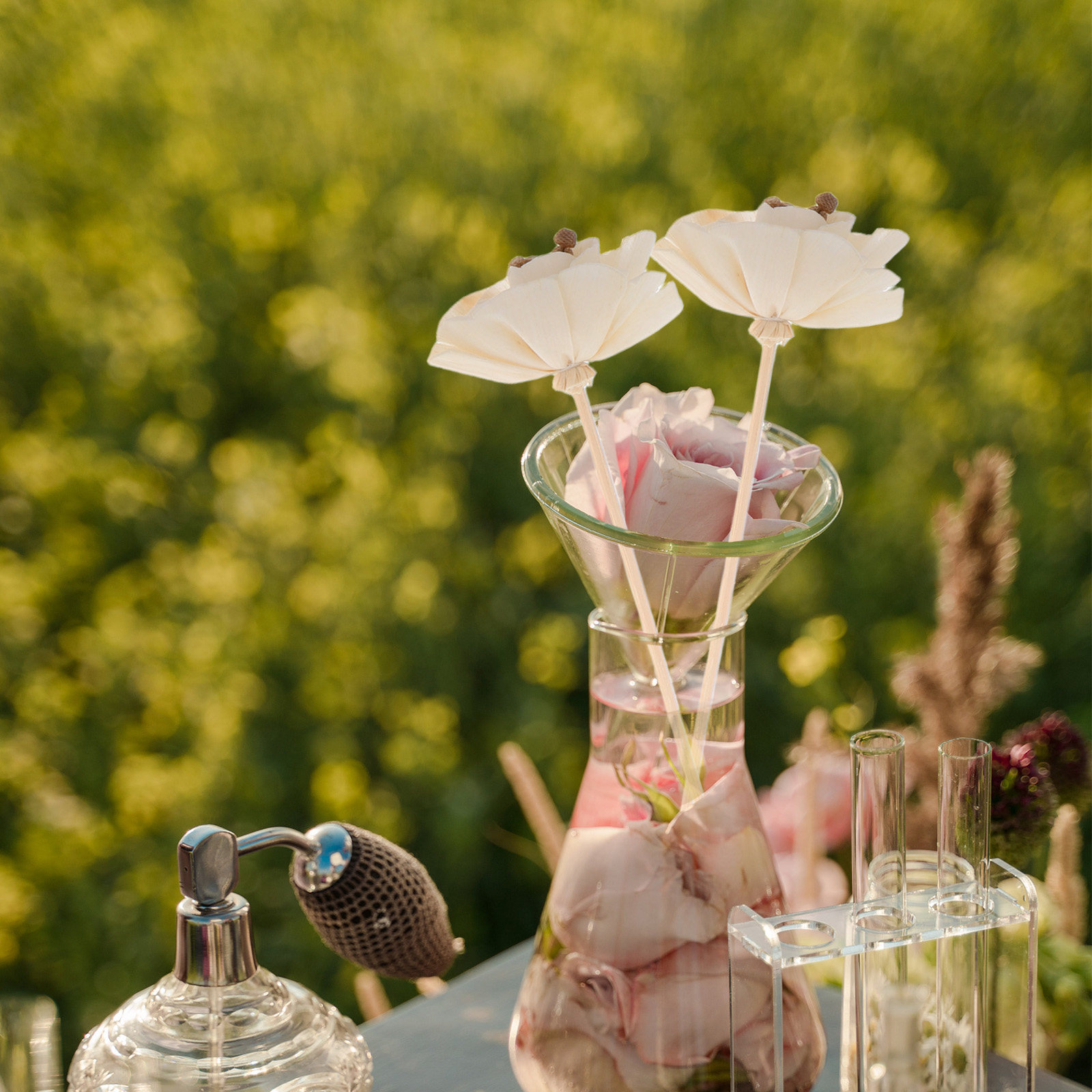 3Pcs Dried Floral Fragrance Di - Home Fragrance Natural review and price