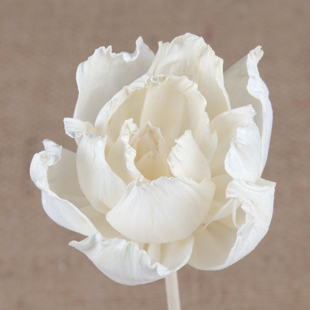 Multipurpose 5cm Natural Handm - Home Fragrance Natural review and price