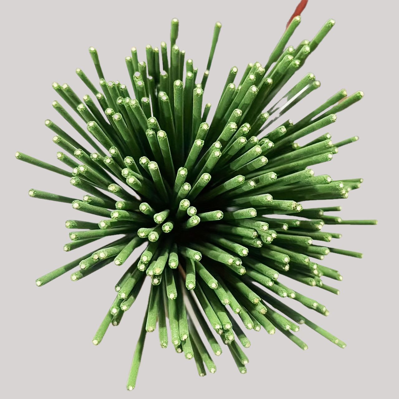 Reed Diffuser Sticks Lemongras - Home Fragrance Natural review and price